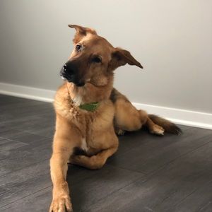 Meet your Posher, Jose